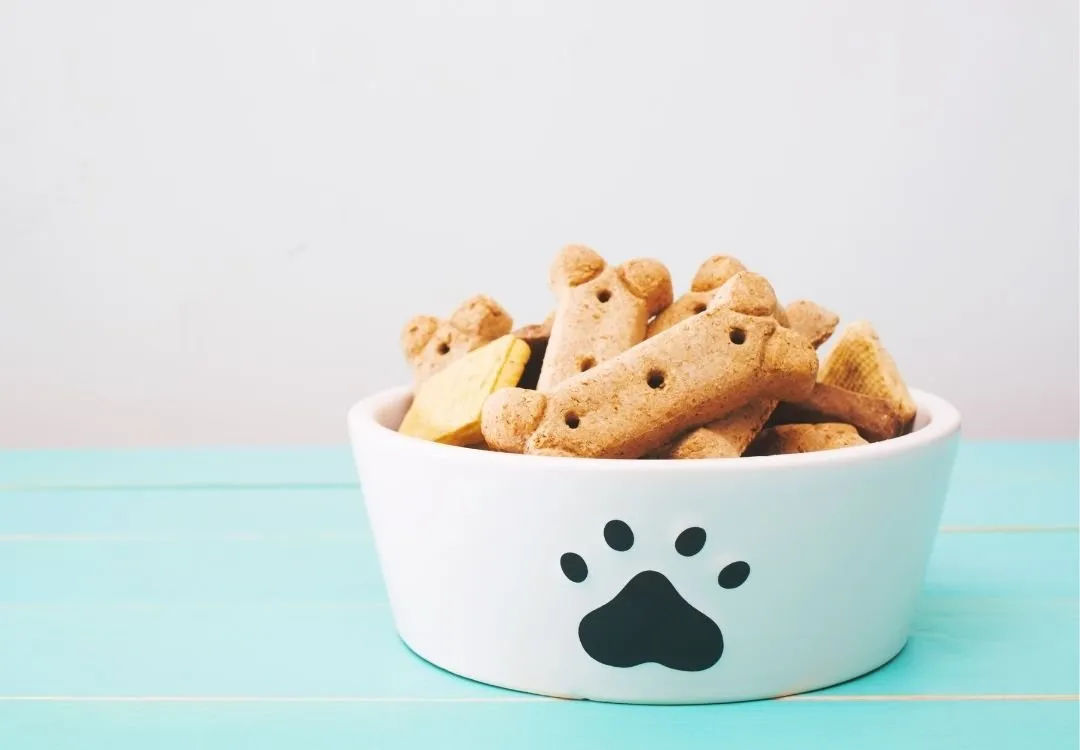 DIY Dog Treats from the Community- Share Yours Below - Essential Oil Vet