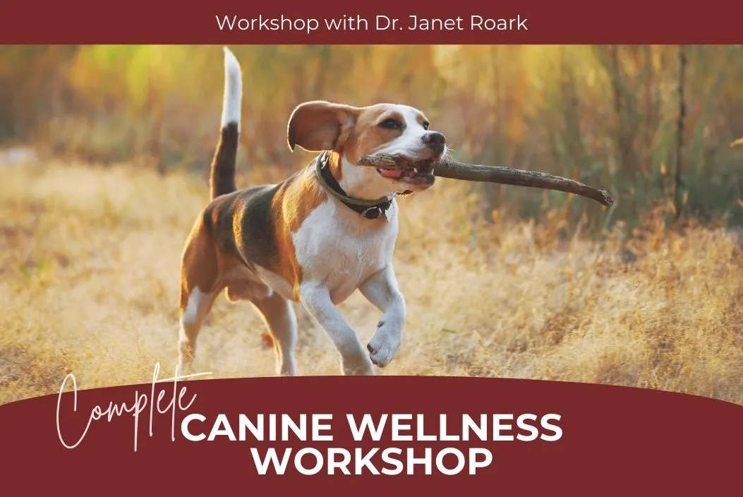 Complete Canine Wellness Workshop