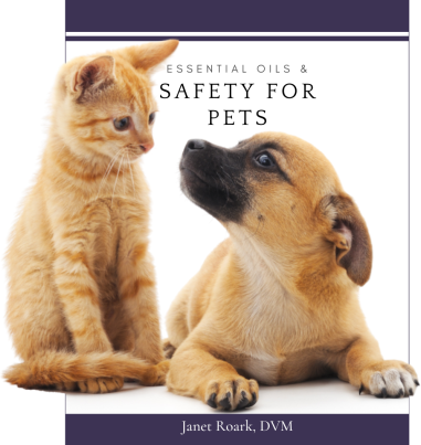 Purple Safety PDF cover image cut out