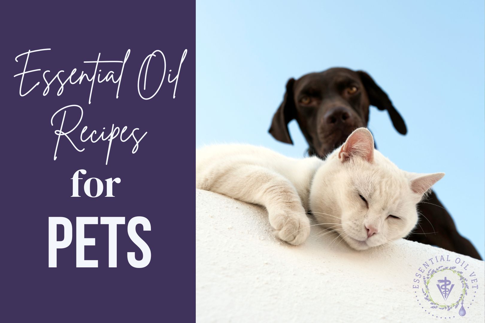 Essential Oil Recipes for Pets - Online Class